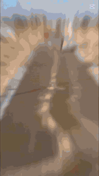 المحموديه • ١٠٠م • واجهة ٧ونص