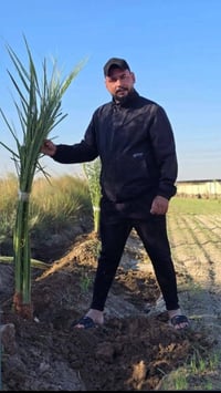 نعمل في قص النخيل ونبك ولقلنطوز /وحش الحدائق وتنظيف الحدائق🌴  🌳 عمل جي...