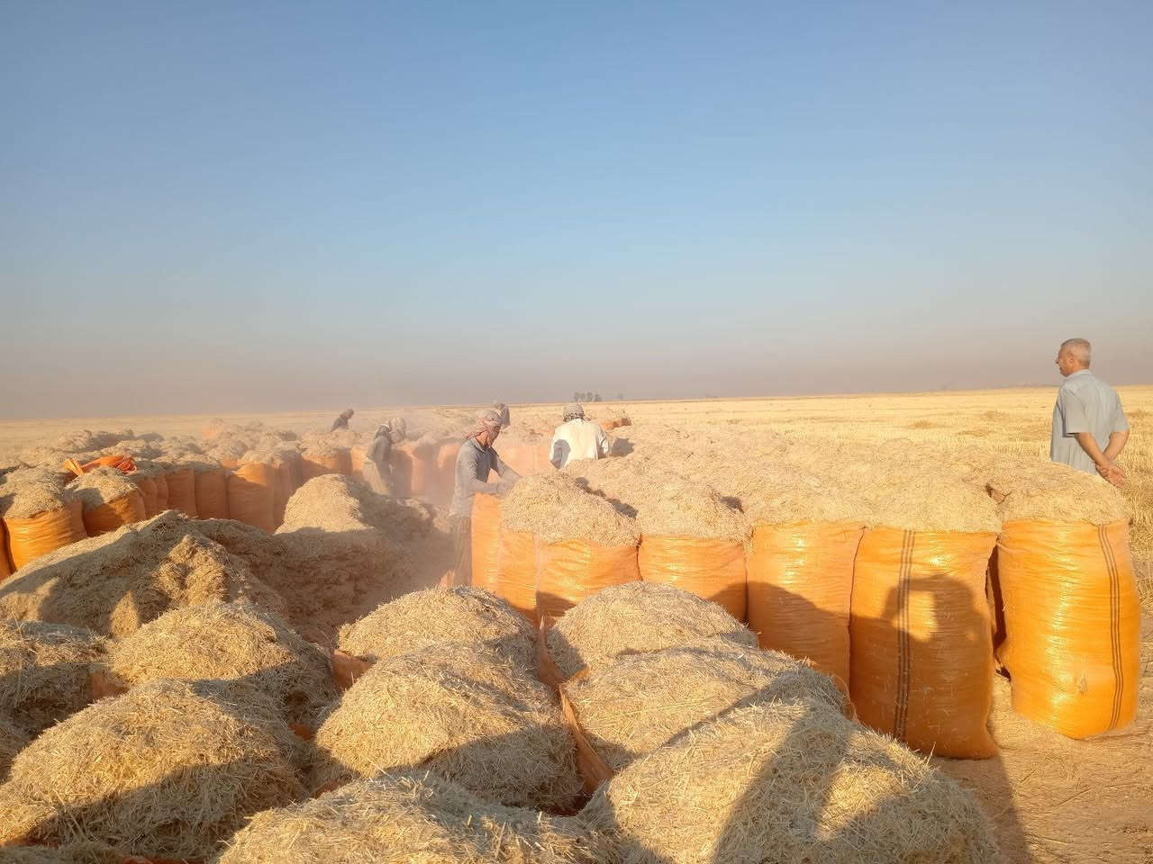 🌾 يوجد تبن للبيع 🌾

تبن الشمال (أربيل وكركوك)
✅ أبيض
✅ ناعم
✅ نظيف
✅ خالٍ من التراب

🚛 سعر الزوج إلى البصره : ٩ ونص

📞 للاستفسار والطلب: ***********
