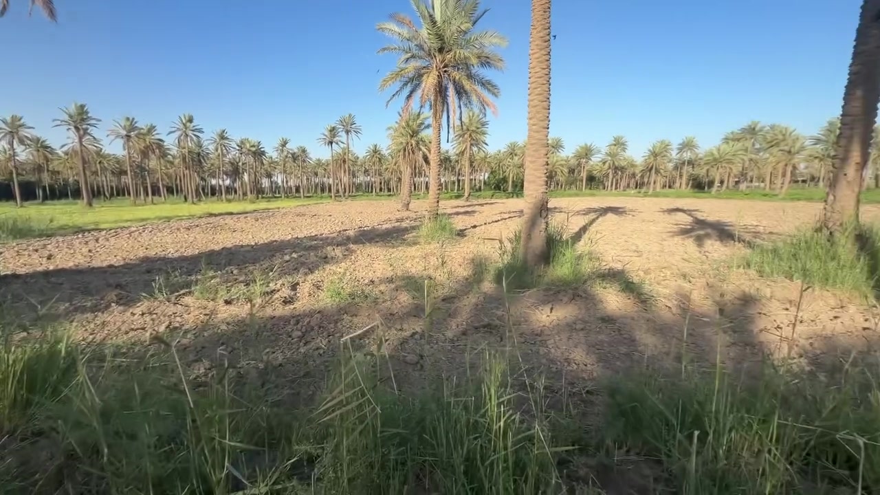 دوانم للبيع ابو سديره
الصقلاويه مي كهرباء كامل خدمات وسعر مناسب 
***********
***********
