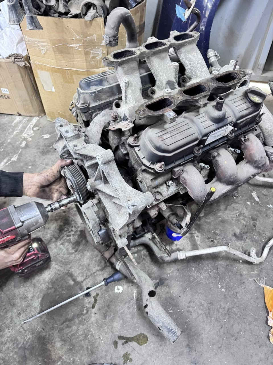 شرفنا ونوّرنا أخونا العزيز والطيب أبو علي الأستاذ زياد، قادماً من محافظة النجف الأشرف إلى بغداد، متوجهاً إلى محلنا لإجراء صيانة كاملة لسيارته وتبديل محركها.

تم بعون الله تبديل محرك السيارة بحجم 3800 وتركيب محرك أمريكي أصلي نظيف كامل مع جميع ملحقاته وتفاصيله، إضافة إلى مجموعة من الأعمال المهمة، منها:  
🔧 تبديل واتر بم  (مضخة الماء)  
🔧 تبديل الراديتر  
🔧 تبديل حساس ABS  
🔧 برمجة منظومة الغاز  
🔧 إطفاء ضوء السيرفيس  
🔧 إجراء العديد من الفحوصات والترتيبات الفنية لضمان أفضل أداء للسيارة.

كل هذا وأكثر كان في محلات الوافي لصيانة السيارات الأمريكية.

📍 الفرع الأول: بغداد – حي الجامعة، نفخ الشرطة باتجاه العامرية 200 متر على اليمين.  
📍 الفرع الثاني: بغداد – سريع الغزالية باتجاه أبو غريب، يساراً قرب سيطرة السونار والتبادل.

📞 للتواصل والاتصال:  
***********

تحياتنا لكم جميعاً، ونسأل الله أن يحفظكم ويديم عليكم الصحة والعافية
