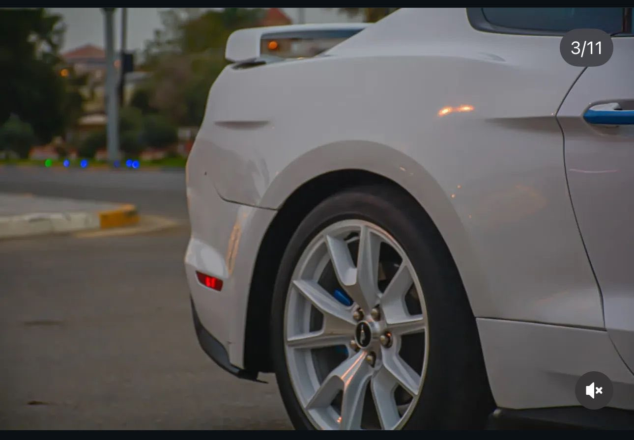 � موستانك 🤍 White Edition 
بريميوم فول اعلى فئه خنك مواصفات
ماشيه 36000 km
 بيع او مراوس  
لون ابيض مميز
برمجت البطل مصطفى ايكل 🦅
ديلي يوز كلش قويه
كير اوتو 10 سبيد
كيجات ديجتال
دشبول 7 الوان
5 وضعيات قياده
دركه وايت ايدشن بلاد
اكزوزها اكتفت ٤ وضعيات 
شاشه جبيره Sync 3
نظام سماعات
كشنات جلد بيض بلاد 
كرسي ميموري
رادار جانبي
تشغيل عن بعد
تحديد مسار
خروج 6 بستم
اشاره الحصان بالمري الجانبيه
كشنات تدفئه + تبريد
ستيرن تدفئه
باك لايت سموك
ويل الوايت ايدشن بلاد من الشركه 
اخت الكلين السياره حادثها 
جاملغ خلفي وباب بصف السايق
 مبدل نفس الون قطعه وحده 
بدون تكم ولا دواخل ولا دوسات 
كلش جديده بمعنى الكلمه السياره امانةالله
 
*********** واتساب
