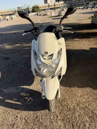 ماجسته اس • مكفولة • ماشية ٤٧