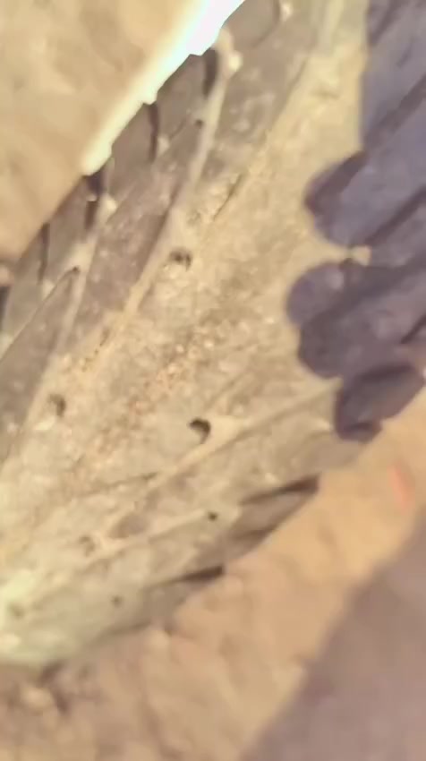 ماكس منقولي للبيع ٥٥٠ بيه مجال الشراي مفتوحه مره وحده ٤٩ بلاد مكان بصره زبير


**إذا كنت صاحب هذا الإعلان وتريد حذفه لأي سبب، رجاءا أرسل رسالة إلى الدعم الفني**