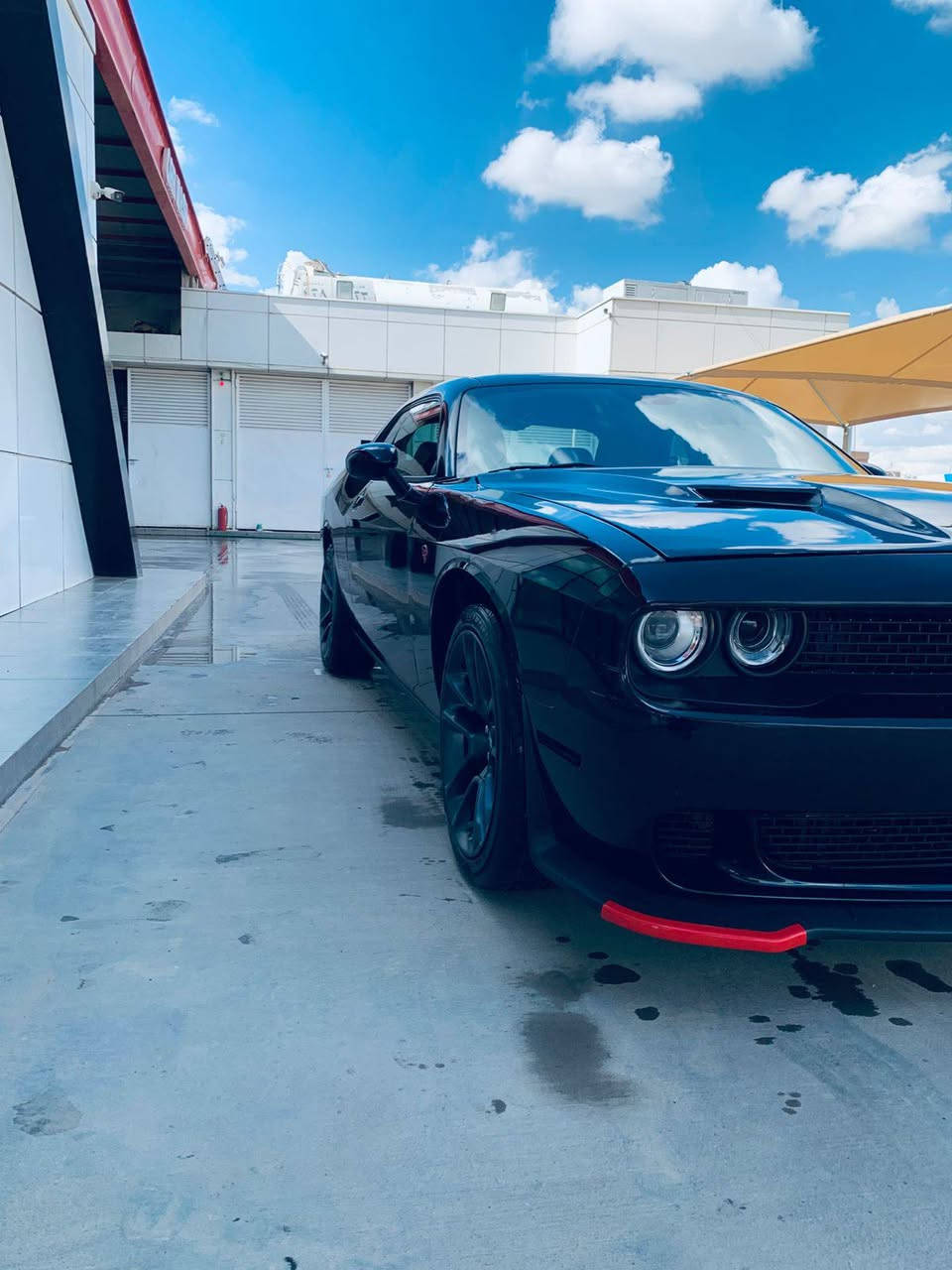 مواسەفات sxt
بەسمە
شاشە
کامیرە
18هەزار میل رۆیشتیە
تعدی سورعە
تحکوماتی سوکان
کوشین کارەبا
دەرکە بەسمە
سندوق بەسمە
سەیارەکە چاملغی لای سەکن و روبعەک بۆنیتی سبوغە بی ژۆری بی ارباک
کامل جوانکاری لۆ کرایە
ویلی سکاتی لەسەرە
چوار تایەی نوی لۆ بەسترایە
رەقەم و هەموو شتی نویە
رەقەم هەولیرە
تەعویل و غرامەی بەشەرتە
بی کەمو کوریە و جاهیزە
سحر 212مەجال
*********** أربيل, العراق
