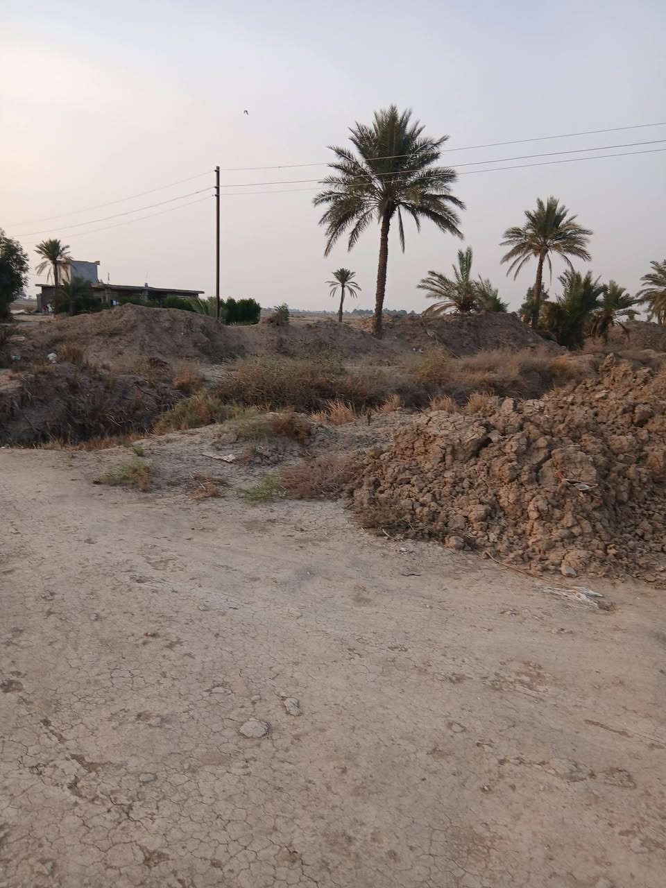 السلام عليكم قطعت ارض البيع ٢٠ دونم مع بيوت اثنين السعر ٣٠٠ /***********
