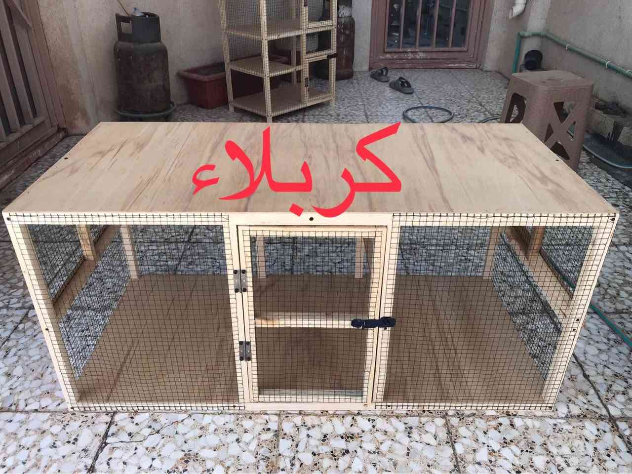 قفص جديد العرض متر و20 سم والارتفاع 55 سم والنزال 55 سم /كربلاء حي الانتفاضه الثانيه كربلاء, العراق


**إذا كنت صاحب هذا الإعلان وتريد حذفه لأي سبب، رجاءا أرسل رسالة إلى الدعم الفني**