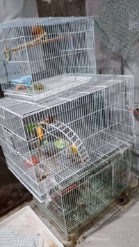 قفاصه • مستعمل قليل • ناصريه المهيديه