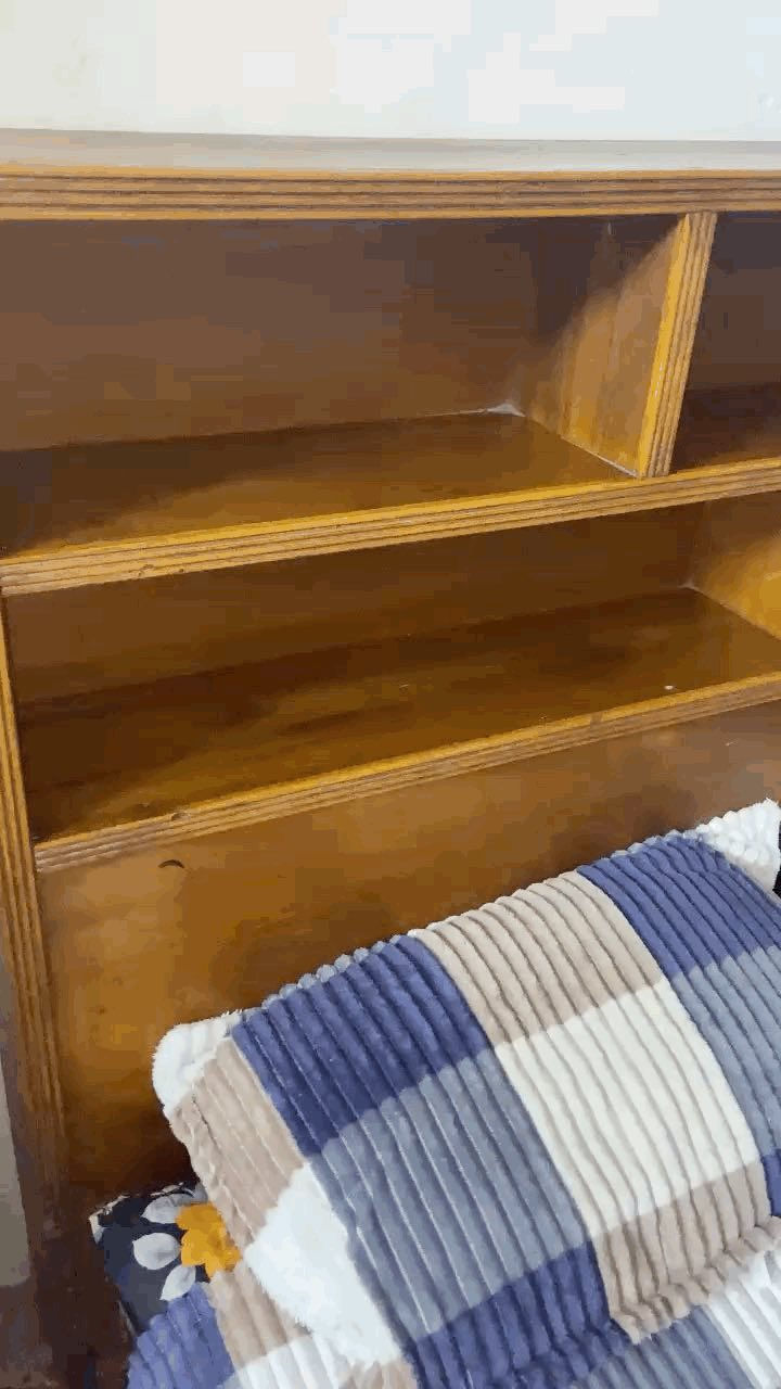 جربايه ٦٠  وبيهه مجال


**إذا كنت صاحب هذا الإعلان وتريد حذفه لأي سبب، رجاءا أرسل رسالة إلى الدعم الفني**