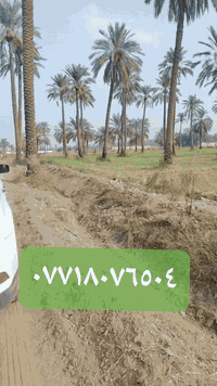 يتوفر ١٧٠٠ متر طابو سند ٢٥ تحويل مباشر بل طابو الوجه ٥٠ النزال ٣٢ المش...