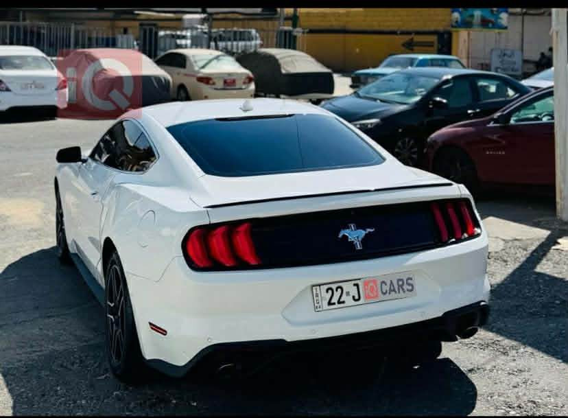 موستانگ ٢٠٢٠  فول مواسه فات يادى ٥٠ ساله كيچ ئه ليكترؤنى  پريميوم 
كوشين سارد و گه رم  خه زن  ٣ پارچه و نيو  سبوغ هه موو شتيكى به شه رت يه ك دينار مه سروفى نيه أربيل, العراق


**إذا كنت صاحب هذا الإعلان وتريد حذفه لأي سبب، رجاءا أرسل رسالة إلى الدعم الفني**