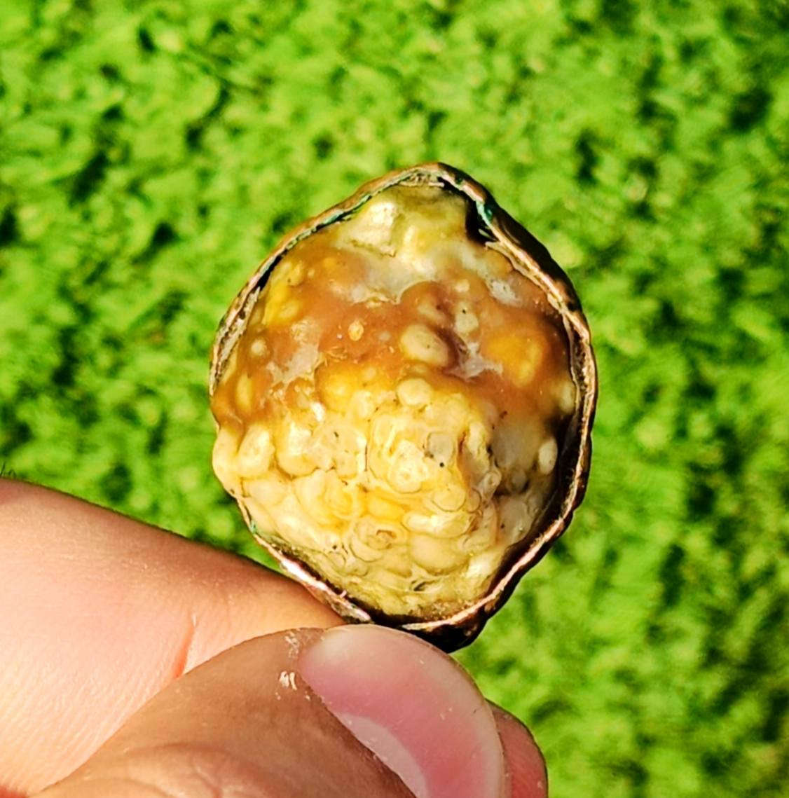 سلام عليــــــكم 🫷🏿👇👇

تحفه وقديم(زوعــــــه حيه القطعه مخيفه) 

يوجد توصيل بدون مراوس او حجز مكاني سماوه سعـــره مع التوصيل(35)قفله


**إذا كنت صاحب هذا الإعلان وتريد حذفه لأي سبب، رجاءا أرسل رسالة إلى الدعم الفني**