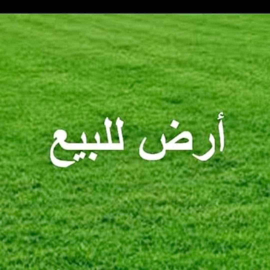 يعلن مكتب بركات العقيلة في منطقة الجمالية عن وجود ارض مساحتها ٥٠ دونم جنس الارض عقد ٢٤ تحويل بسم المشتري سعر الدونم خمسه مليون فقط ارض صالحه للزراعة ماء سقي متوفر على مدار السنة موقع الارض منطقة الرفيع خلف الجماليه 
للاستفسار 
عنوان المكتب كربلاء الحر الجمالية قبل ماتوصل شركة كآله هاتف ***********
والله ولي التوفيق
