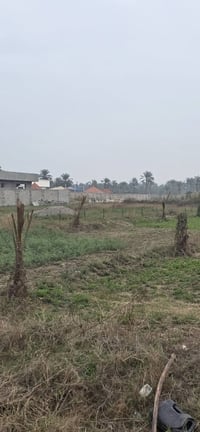 صنف الأرض ملك صرف مجاورة مزارع للستفسار اتصل 07765563667