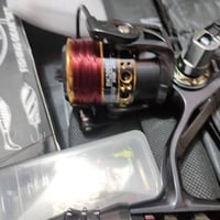 كلمن • للبيع