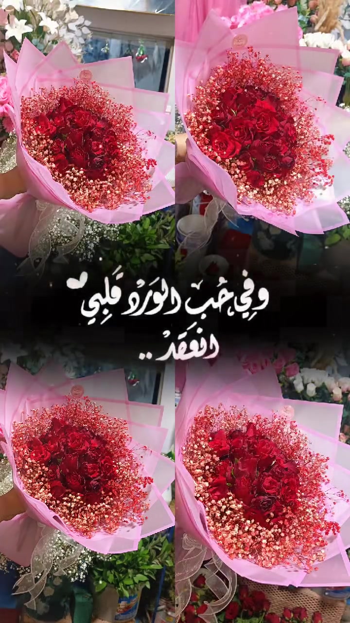 ❤️


**إذا كنت صاحب هذا الإعلان وتريد حذفه لأي سبب، رجاءا أرسل رسالة إلى الدعم الفني**