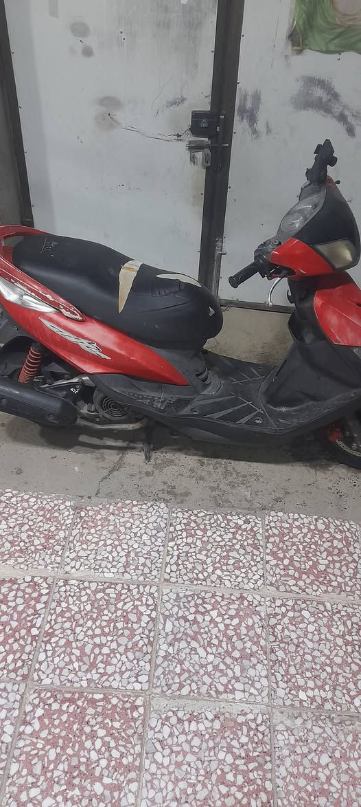 ماكس ثعلب رنبه جديده ٦٠٠ من الاخير بغداد البياع ***********
