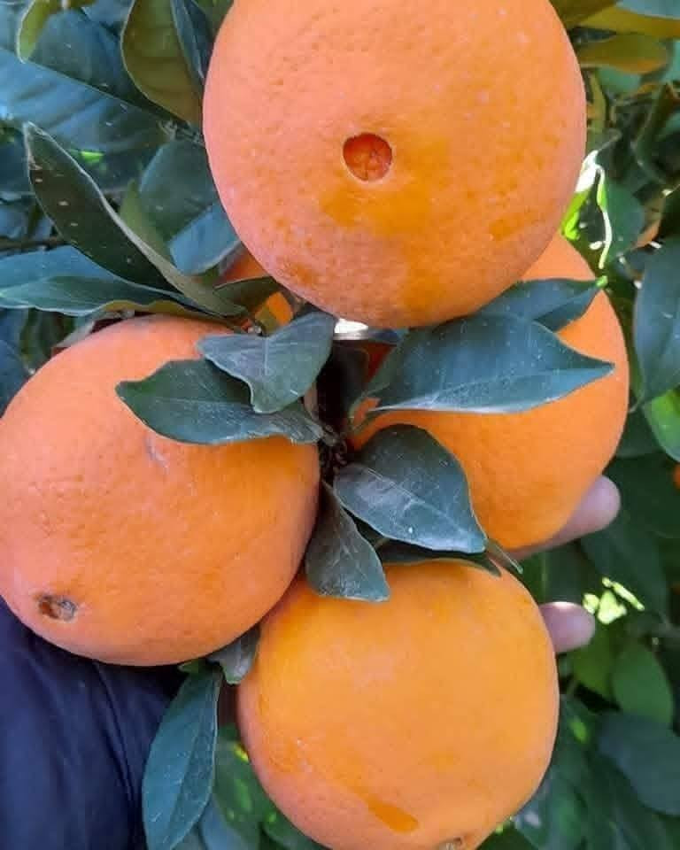 سلام عليكم حاليا متواجد فلكه الفرسان


**إذا كنت صاحب هذا الإعلان وتريد حذفه لأي سبب، رجاءا أرسل رسالة إلى الدعم الفني**