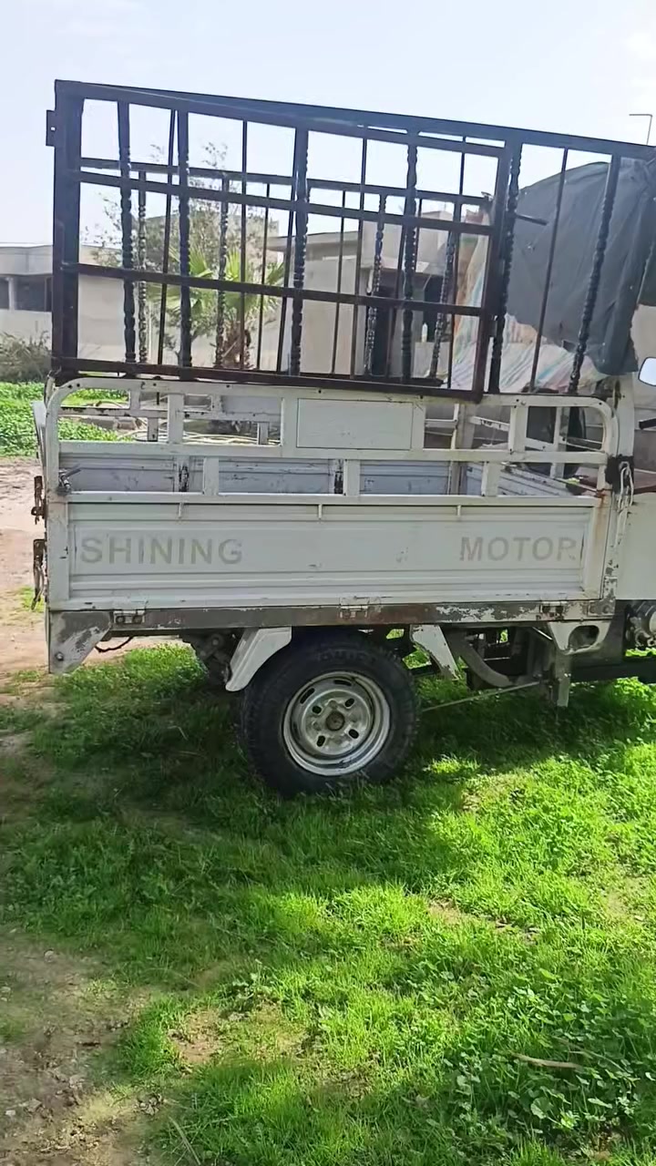 ستوته أبو طير فحل موديل 2018 مكان ديالى خانقين ***********
