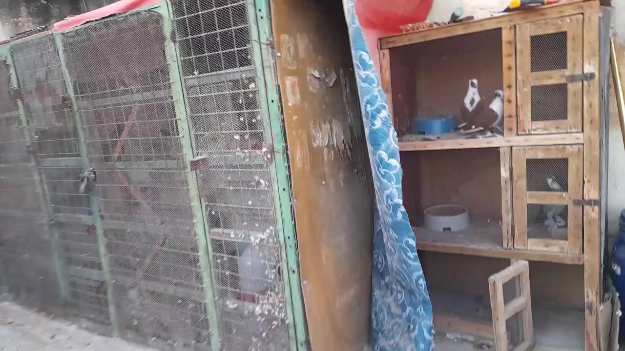 برج للبيع واجهيه وصفاحيه وسقف بلاويد وترايش ،البرج تفصال ب١٥٠ العنوان بغداد ابوغريب حي رساله ***********
***********
