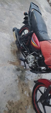 بوكسر • ٢٠٢٠ • اوراق