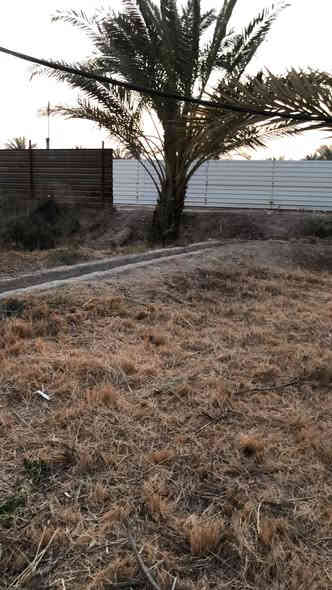 قطعه ارض ملك صرف ٥٢٩ متر 

السلام عليكم قطعه ارض طابو ملك صرف للبيع المساحه ٥٢٩ متر مربع واجهه ٢٣ متر ونزال ٢٣ متر

العنوان / ابي الخصيب - الحمزه الفوك 

للأستفسار  ***********
