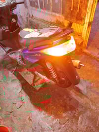 سكنس فحل • مكينة مكفولة • اوراق كاملة