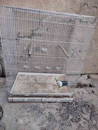 قفص للبيع • ديكور منزلي