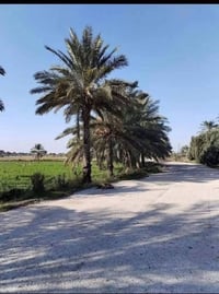 🔥🔥 فرصة ذهبية للاستثمار والسكن 🔥🔥  املك أرض طابو بمساحة 2500 متر وبسعر...