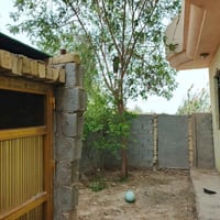 بيت ركن • موكب زوار • ١٠٠م