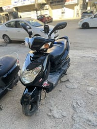 سكنس فحل • ياباني • سلف