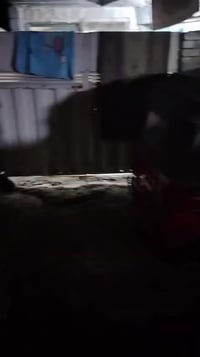 دار • ١٠٠م • شارع ابو دراج