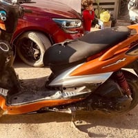 البيع سكنس فحل رياضي سعر700 العنوان الكماليه 07773173334