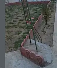 حرث حديقه سياج تنظيف07885748331