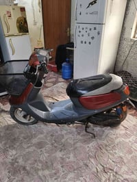 منغولي نضيفة • سلف • كربلاء