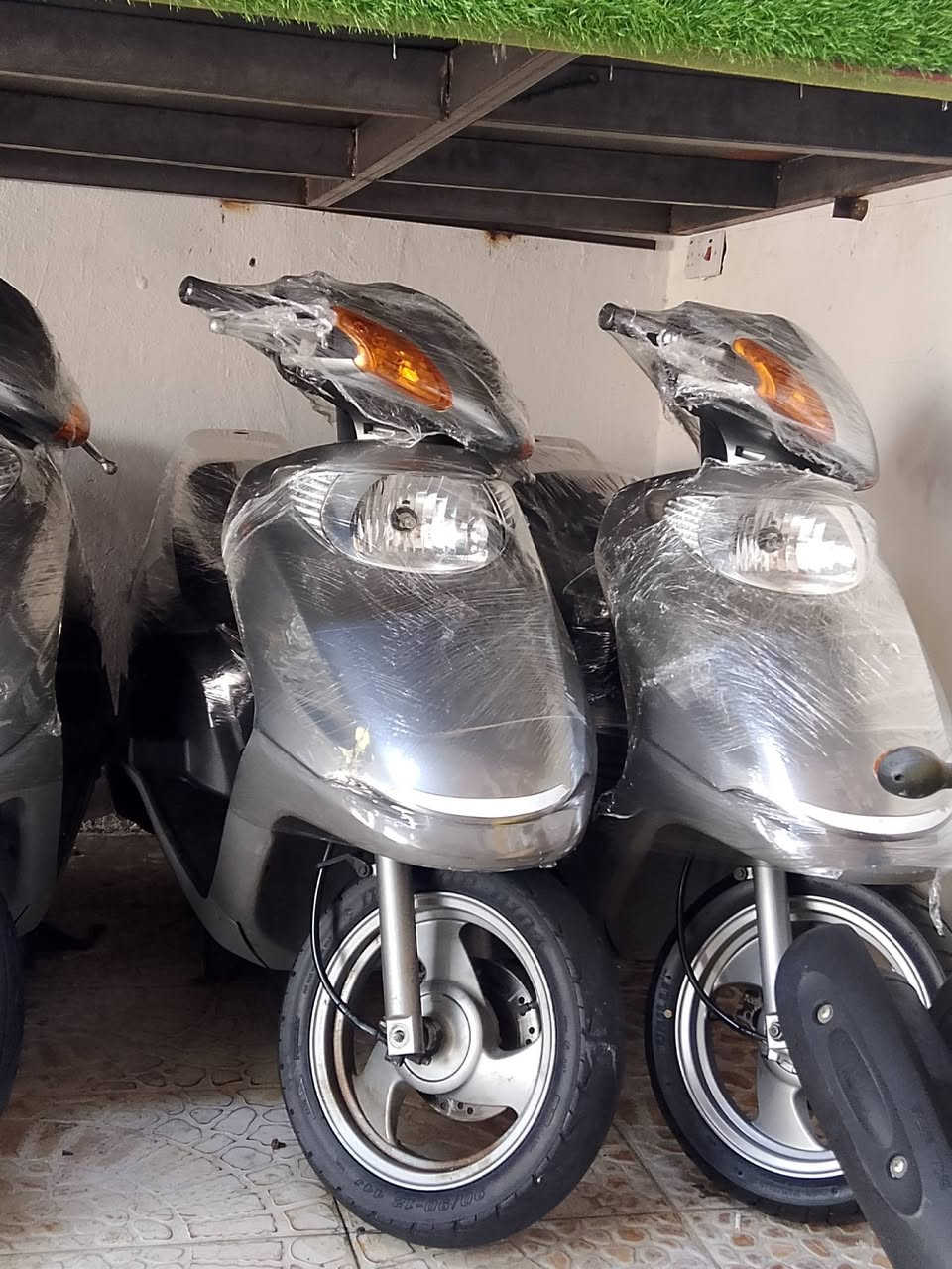 سلام عليكم 

وصلت وجبه سبيسي ياباني شرط الوكاله ولنضافه الشراي يخابر ويدلل *********** كوت ولسعار جوه السوك
