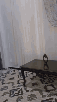 بيوت عدد اثنين مساحة البيت 200متر عدد غرف النوم كل بيت غرفتين نوم وصالة واستقبال وصحيات خارجية وداخلية وحديقة وسطية بين البيت وحديقة خلفية مساحة الكلية للبيتين والحديقة 600 متر بناء حديث قريب على شارع العريفية الرئيسي معروضةفي مكتب الزيدي في العريفية الشارع العام رقم الهاتف *********** السعر النهائي 305 مليون
