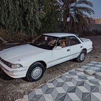 بدون صبغ • مكفول • قضاء بلد