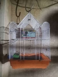 قفص • غرفة داخلية • ملحقات