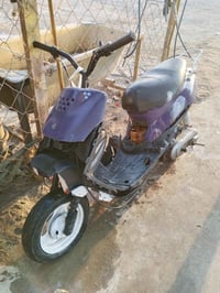 نجف كوفه • دراجه • سعر خاص