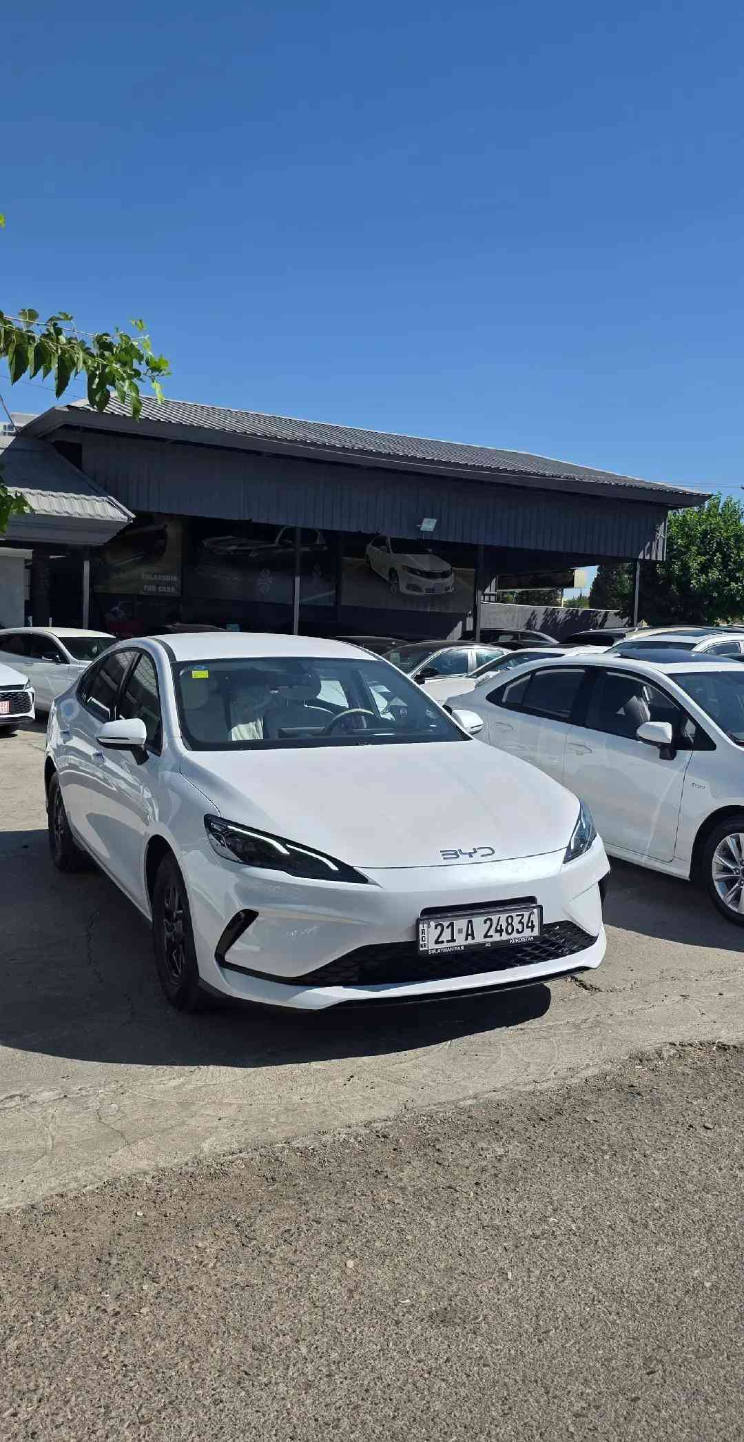 ـBYD ـ2025 بی بۆیاخ مواصفات   ئاوینە ئیشارات ، کوشن جلد ، ناو سپی ، شاشە ، گیچ ئەلیکترۆنی ، سوکان ڤۆلیوم ، سوکان تەلفون ، کامیرە ، حاسە ، لایت لید ، ویل کڕۆم ، دەسک بصمە ،  ـ13.000 Km بۆ زانیاری زیاتر کۆمینت یان پەیوەندی بکە ☎️.  ***********📞 *********** 📞  ناونیشان سلیمانی شەقامی مەلیک محمود  Salahaddin Auto — معرض صلاح الدین  https://maps.app.goo.gl/GTqjTbohj8BvP
