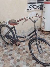 بايسكل • حجم ٢٤ • الديوانية