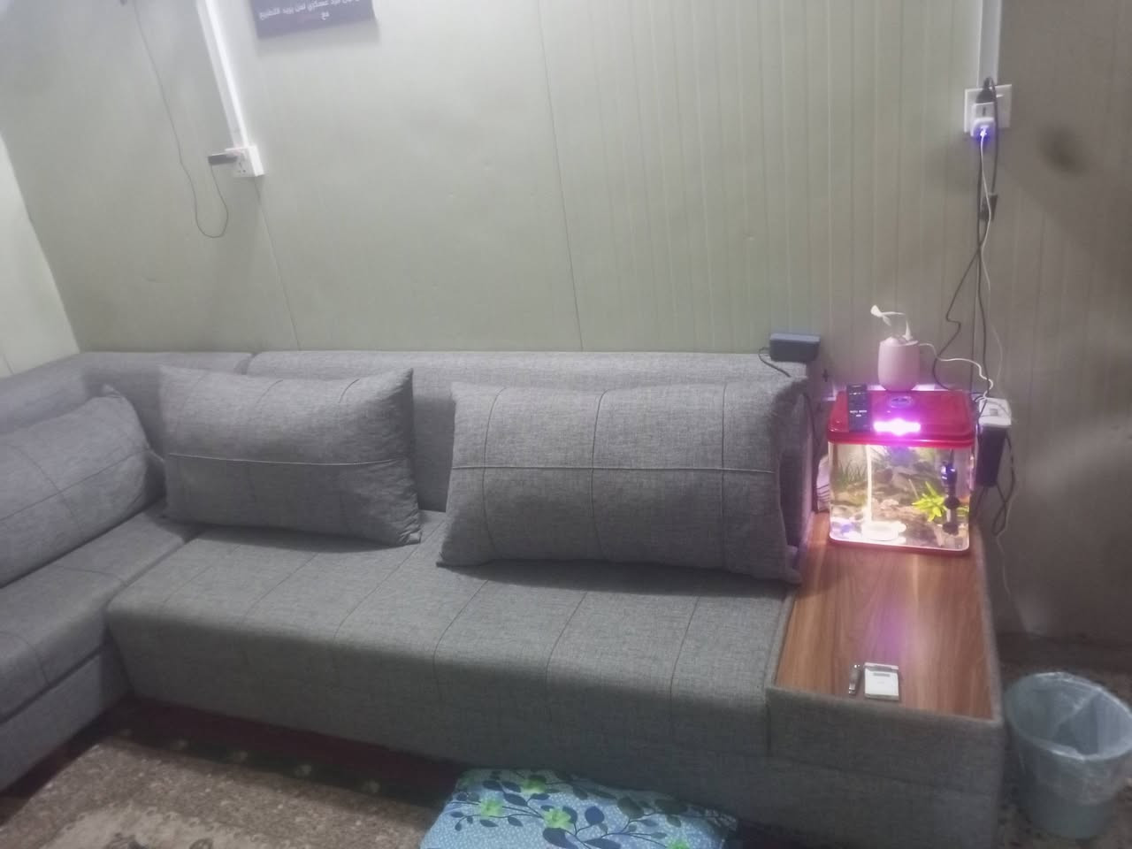 السلام عليكم تخم جديد السعر 350 التصال ***********
