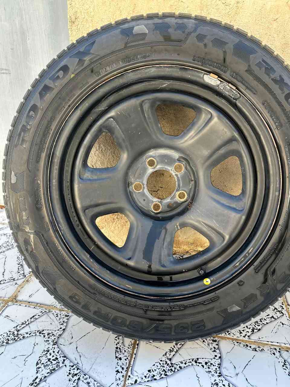 تخم ويل بوليسي أصلي كامل بدون صبغ سعره ٥٠٠ ألف *********** كربلاء
