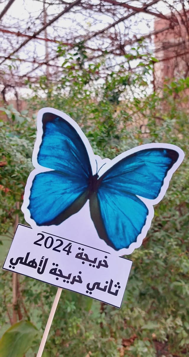ستيكرات تخرج حسب الطلب 🎓

🔥🔥 قطعة بألف دينار فقط 🔥🔥

للحجز والاستفسار راسلونا خاص 📩

📍موقعنا // الموصل - الجانب الايمن - منطقة الميدان - شارع نينوى - قيصرية الكاتب

متوفر توصيل لجميع محافظات العراق 🚗

توصيل داخل الموصل ٣
بغداد ٥
بقية المحافظات ٦


**إذا كنت صاحب هذا الإعلان وتريد حذفه لأي سبب، رجاءا أرسل رسالة إلى الدعم الفني**