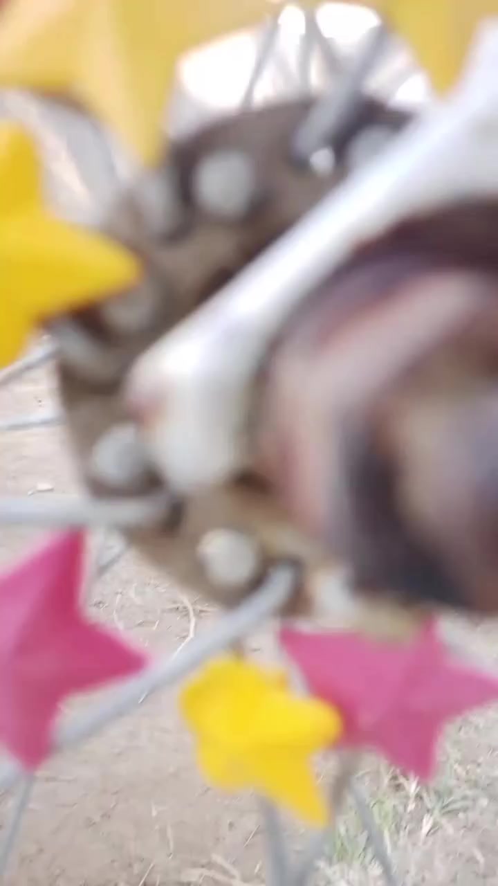 باسكل للبيع فول موصفات حجم 27 السعر 80 بي مجال مكان دوانيه دغاره


**إذا كنت صاحب هذا الإعلان وتريد حذفه لأي سبب، رجاءا أرسل رسالة إلى الدعم الفني**