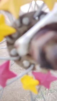 باسكل • حجم ٢٧ • دوانيه دغاره