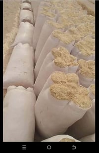 تبن حنطه • درجة اولى • قضاء حويجه