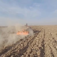 عنتر • موديل ٧١ • بيه مجال