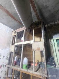 ٤ خانات • كبار وقويات • فاوووو